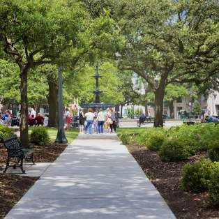 Looking into Bienville Square with oak trees, plants and park benches