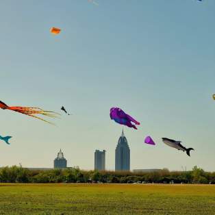 colorful kites flying with the city scape in the background