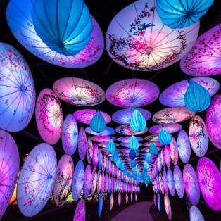 Tunnel created by hanging umbrella lanterns