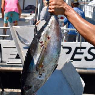 A fisherman on a boat holding a large tuna by the tail in Port Aransas.