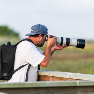 Birding