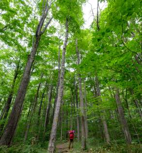 FAQ's of the Laurel Highlands Hiking Trail