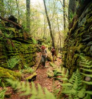 Laurel Highlands Hiking Trail