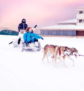 Martin Luther King Weekend