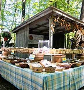 Somerset Historical Center