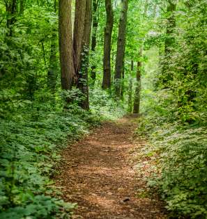 Erie MetroParks trail
