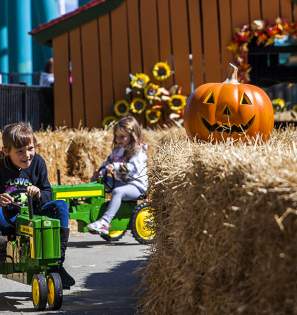 Halloweekends Kids Pumpkin Race