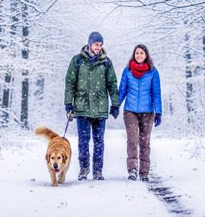 Sheldons Marsh Winter
