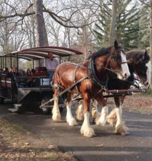 RB Hayes trolley