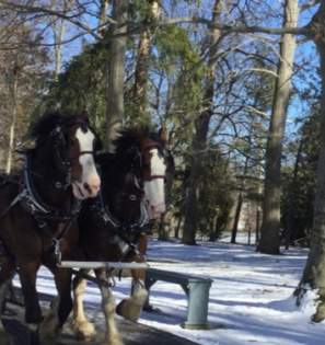 RB Hayes sleigh rides