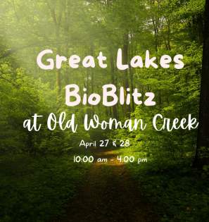 Great Lakes BioBlitz at Old Woman Creek