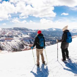 Snowshoeing