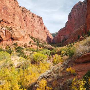 Kolob Canyons, Zion National Park, Fall