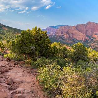 Kolob Timber Creek Trail