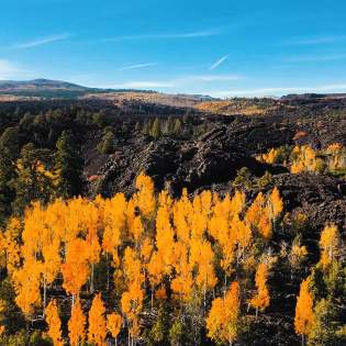 Fall Color on Mammoth Creek Road