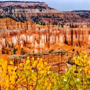 Fall in Bryce Canyon National Park | Canva Pro Image