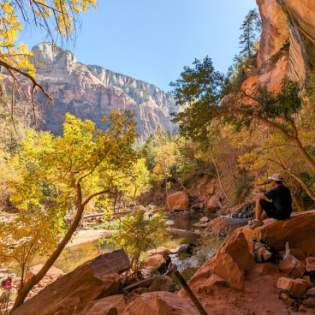 Fall in Zion National Park
