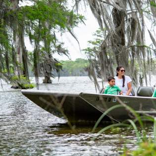 Family of 4 Swamp Tour at Lake Martin