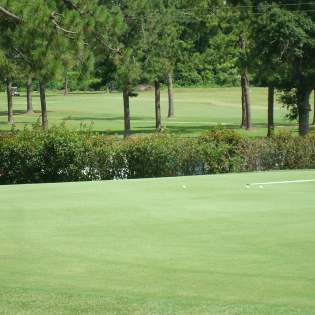 Four Amazing Golf Courses In Acadiana