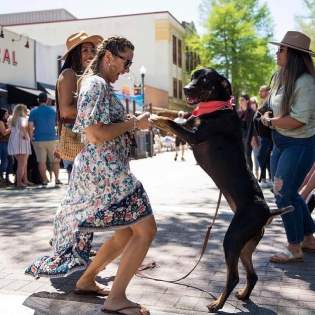 Pet Friendly Places in Lafayette