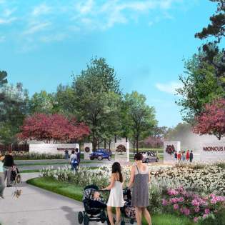 Moncus Park: Sanctuary in the City