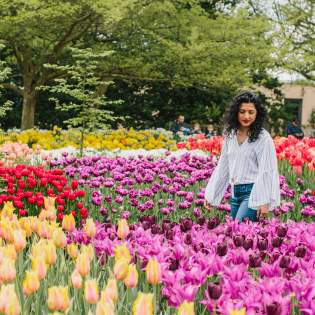 Spring at Longwood Gardens, Women walking through field of tulips