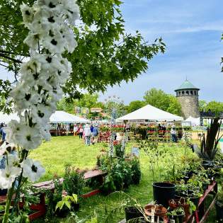 Wilmington Flower Market