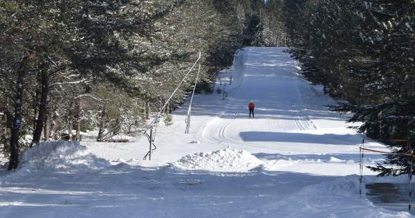 Winter Fun on Cross Country Trails around Grayling