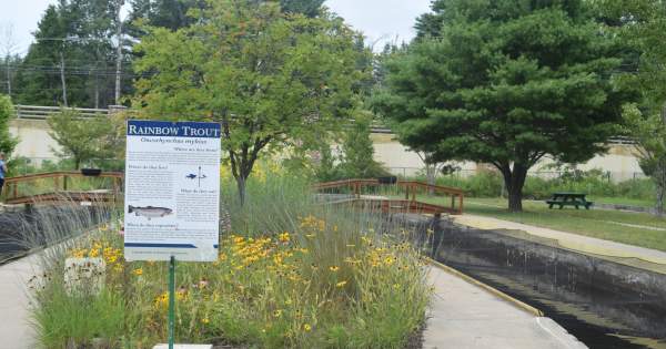 Discover the Grayling Fish Hatchery:  A Century of Conservation & Family Fun