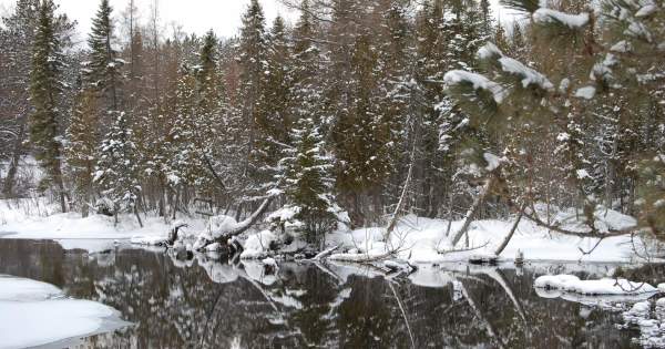 Your Ultimate Guide to Grayling: The Grayling Visitors Bureau Website