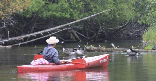 An Au Sable Canoe Trip Can be Magical