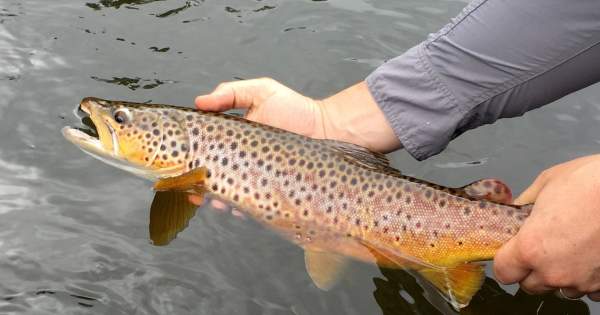 Spring Fishing and Boating