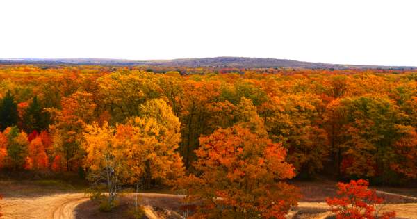 Embracing Fall Colors