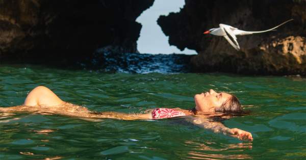 Woman swimming a bird flies very close to her. In the background you can see the vegetation of Isla Pajaro