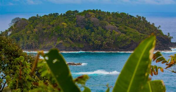 small island covered in lush greenery, surrounded by clear blue water with gentle waves. The foreground shows lush vegetation framing the view.