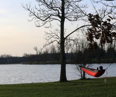 Hammocking
