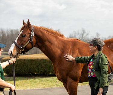 2023 Kentucky Derby Winner, Mage