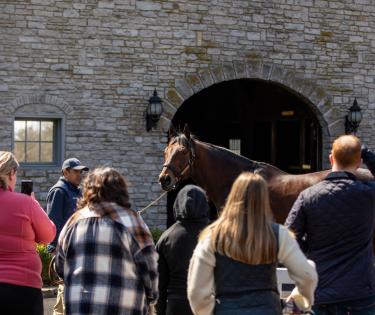 Coolmore at Ashford Tour