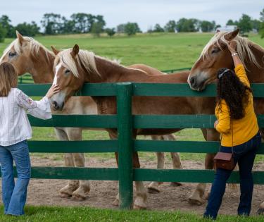 BraveHearts Equine Center