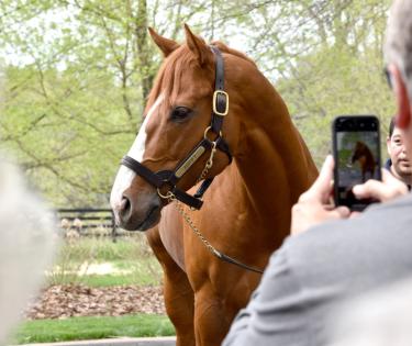 Coolmore at Ashford Tour