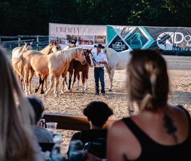 Double Dan Horsemanship