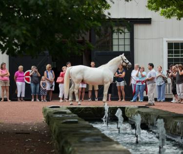 Gainesway Farm Public Tour
