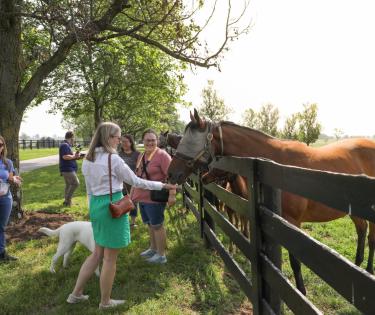 Denali Stud Tour