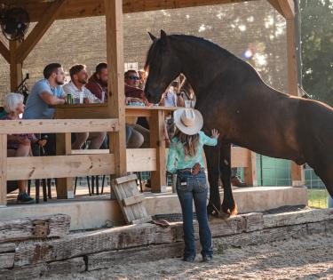 Double Dan Horsemanship