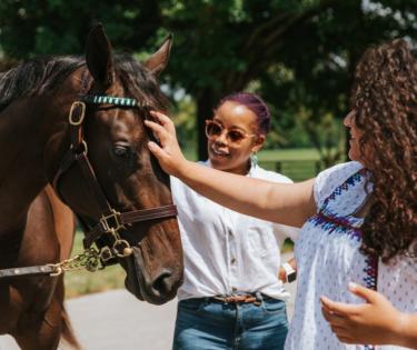 Gainesway Farm Horse