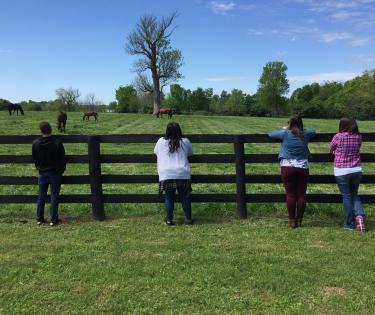 Kentucky Horse Country Tours with Mint Julep Experiences