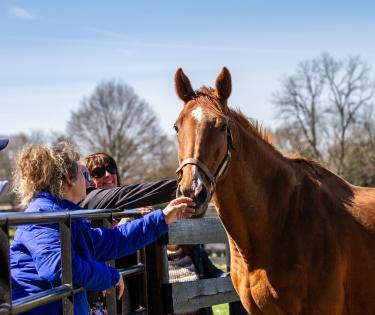 Horse Country tour at Gainsborough Farm