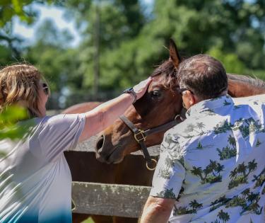 Horse Country tour at Mill Ridge Farm