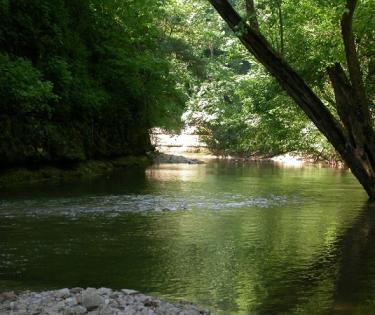Lower Howard's Creek Nature Preserve