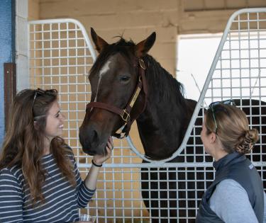 McPeek Racing at Magdalena Farm